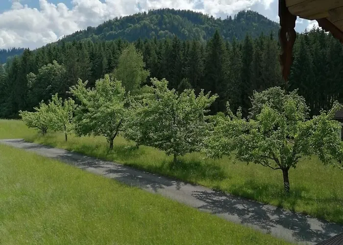 Ferienwohnung Bergblick