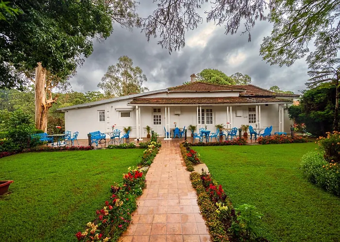 Neemrana'S Wallwood Garden