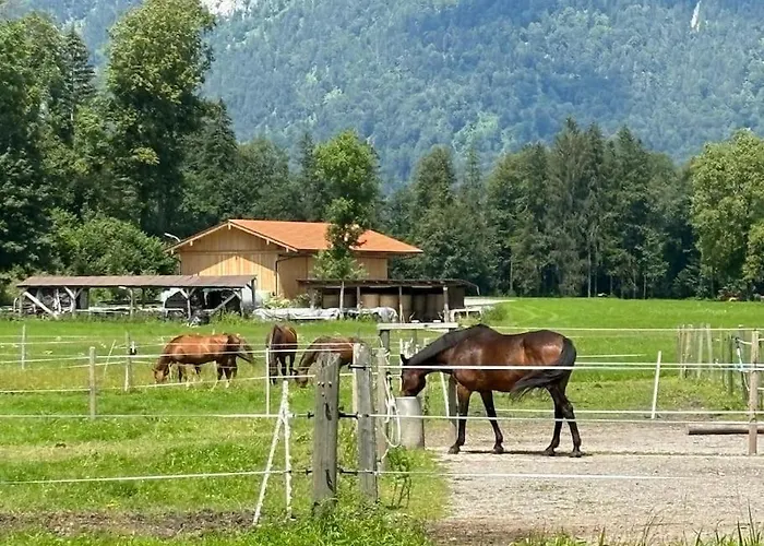 4 Star Maisonnette Mit Kaiser Blick, Sauna, Schwimmbad