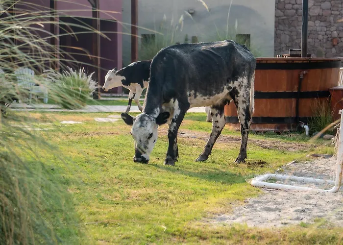 Hotel Castillos De Cafayate