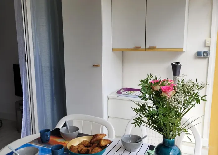Vela Aurea, Studio 4 Couchages En Rez De Jardin, Avec Terrasse Et Parking, A 500M De La Plage