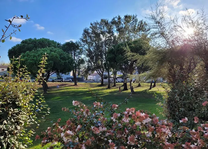 Vela Aurea, Studio 4 Couchages En Rez De Jardin, Avec Terrasse Et Parking, A 500M De La Plage