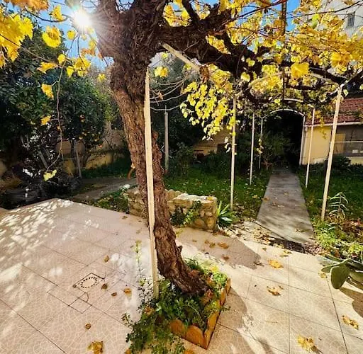 Maison Centre Ville Avec Jardin