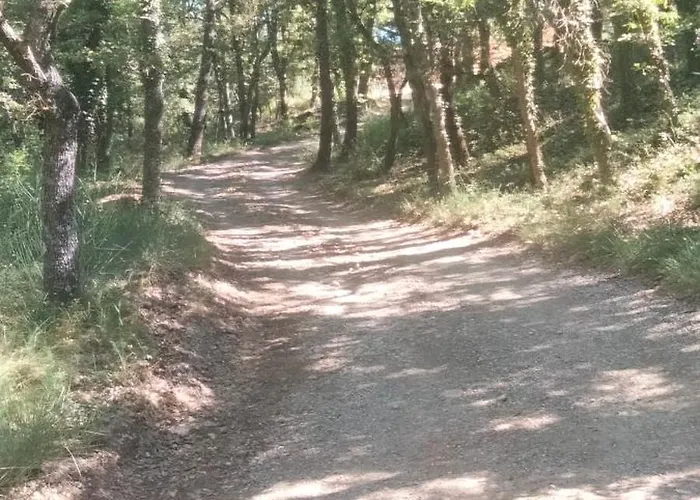 La Cabane En Bois