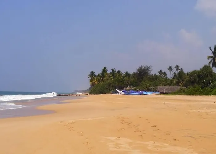 The Pleasure Kosgoda