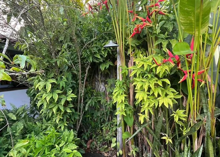 Casa Olava Trancoso