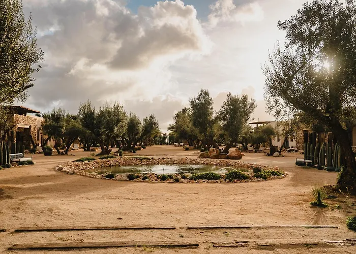 Habimo - Valle De Guadalupe