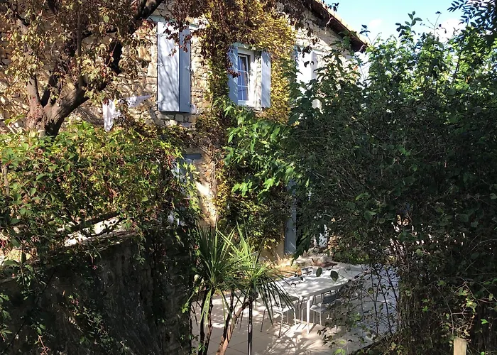 Mazet Pierre De Vers - Le Mas Des Olivers Nimes