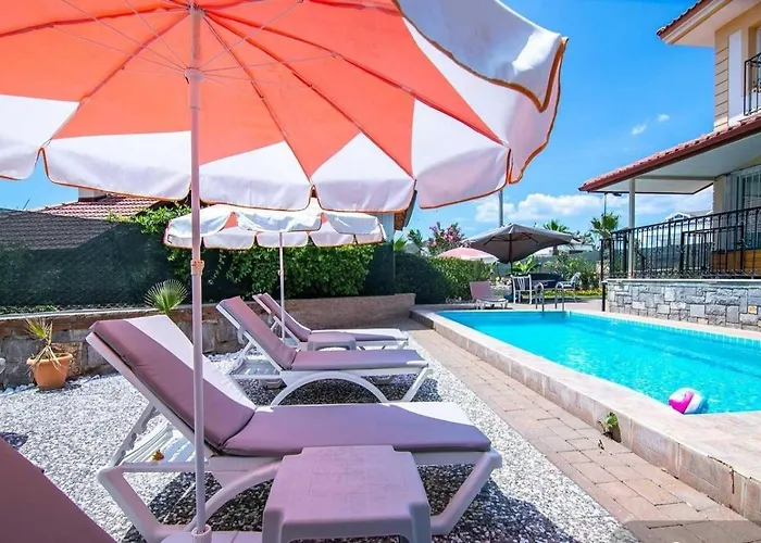 Villa Palm Tree