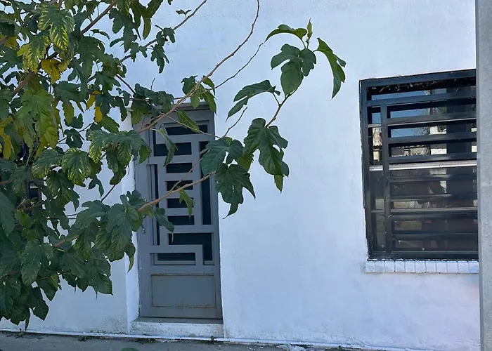 Departamento Independiente En Juarez