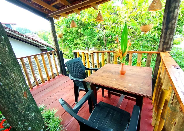 Parrot Tree House