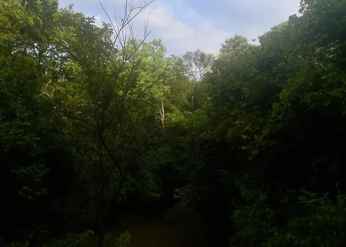 Hornbill Forest Habarana