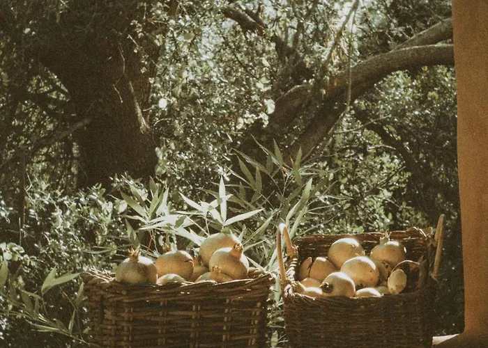 Agroturismo Can Torna Ag178