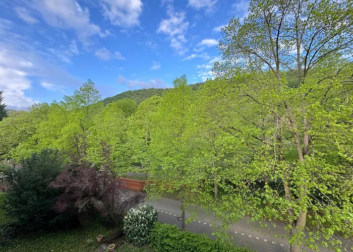 Apartment Villa Elisa