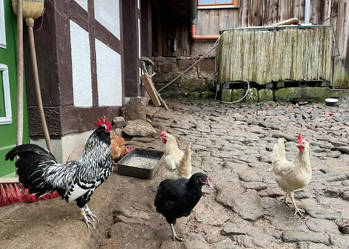 Ferienwohnung Baerbel
