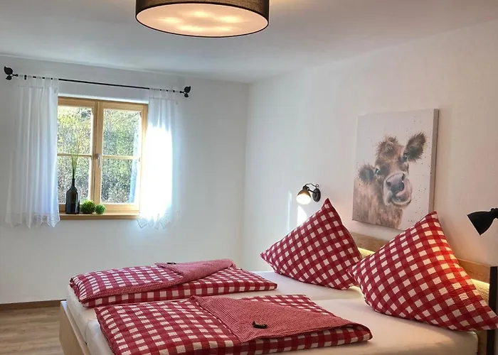 Ilgerhof Ferienwohnungen