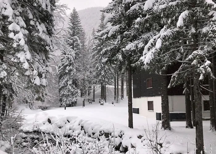 Appartamento Ruscello Sulle Piste