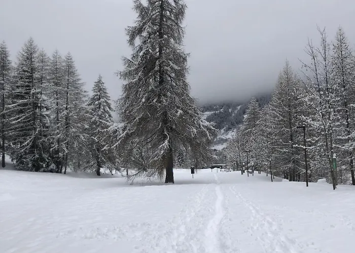 Appartamento In Centro A Ponte Di Legno