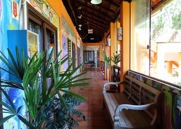 Patio Floriparadise