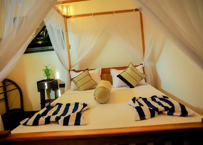 Ruwan Jungle Homestay