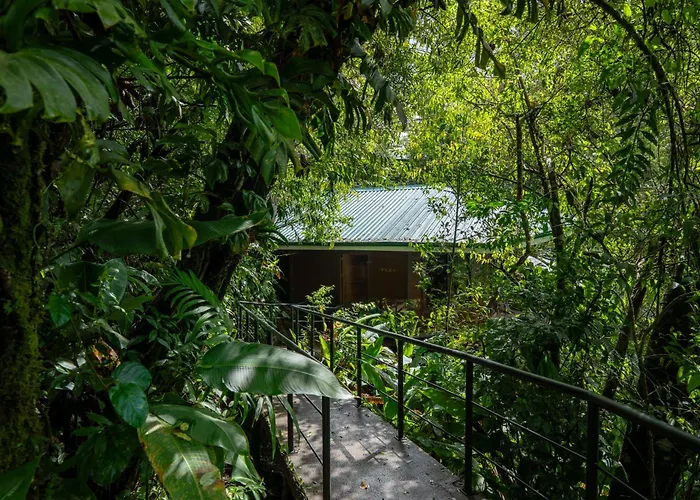 Koora Monteverde A Cloud Forest Hotel By Sandglass