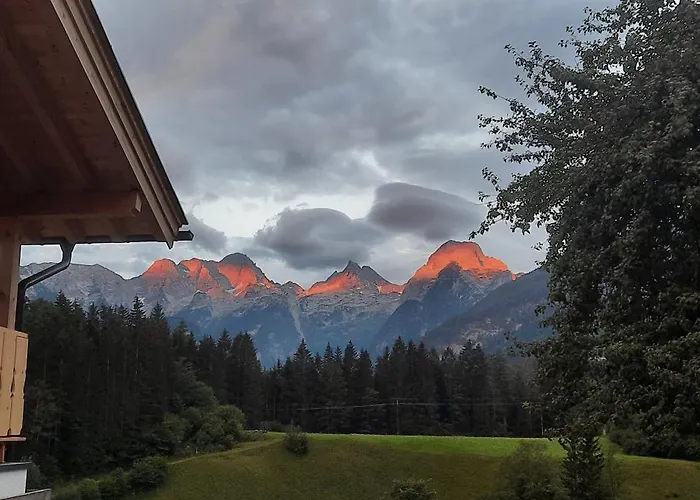 Selauerbauer