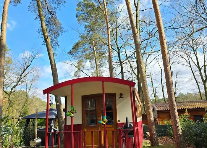 Pipowagen Met Prive Hot Tub