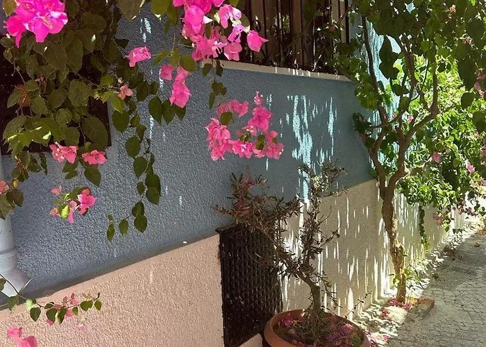 Casa Magnolia Boutique Rooms