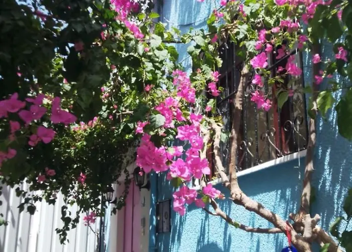 Casa Magnolia Boutique Rooms