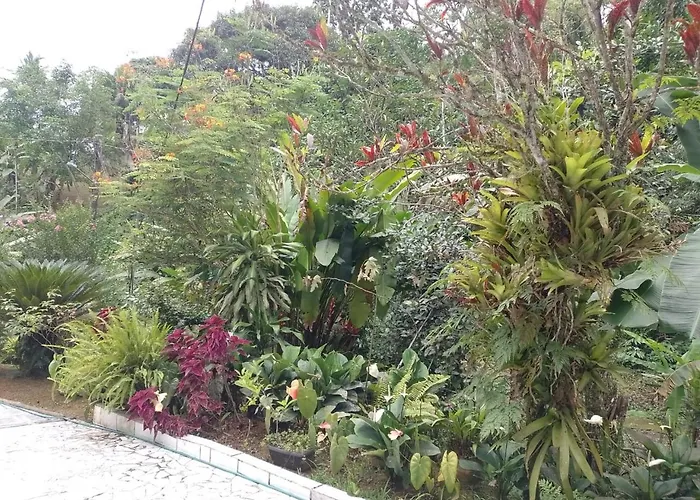 Apartamento Em Chacara Aconchegante - Kitnet