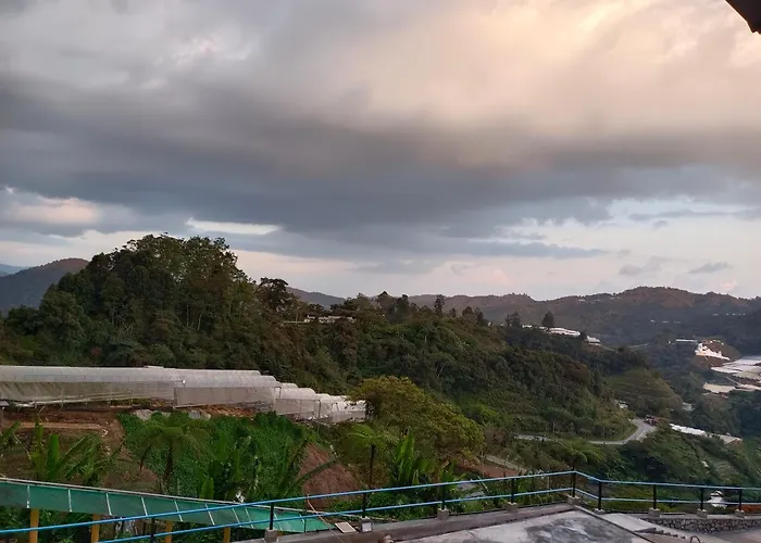 Cameron Highlands Blueberry Earth House