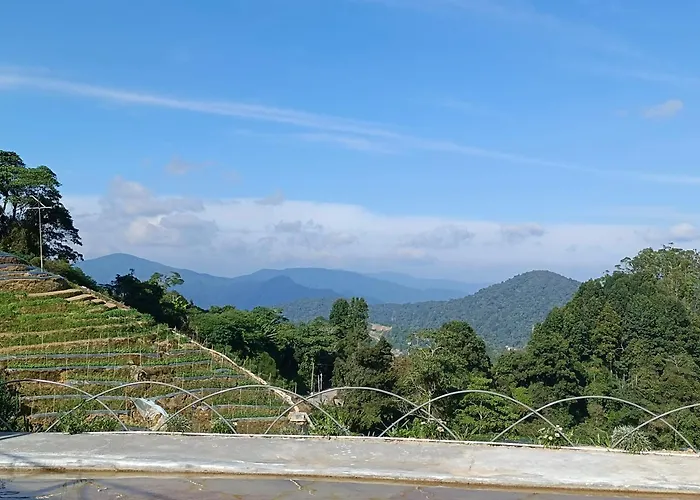 Cameron Highlands Blueberry Earth House