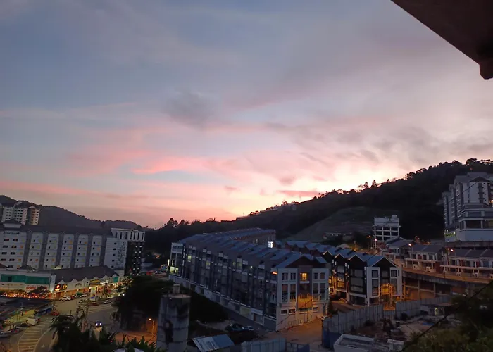 Cameron Highlands Blueberry Earth House