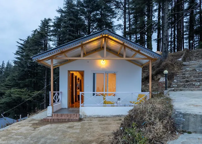 The Deodar Stays