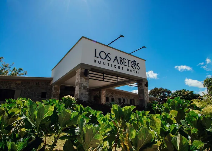 Hotel Boutique Los Abetos