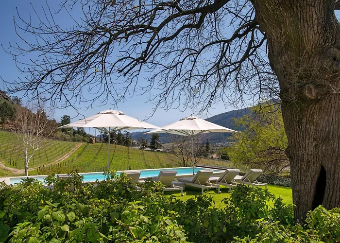 Mont Rochelle Hotel And Vineyard