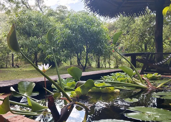 Sigiri Dilu Villa
