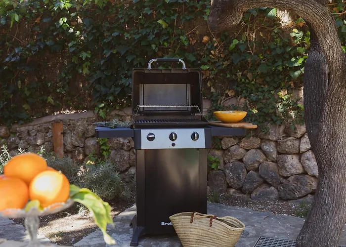 Can Palou