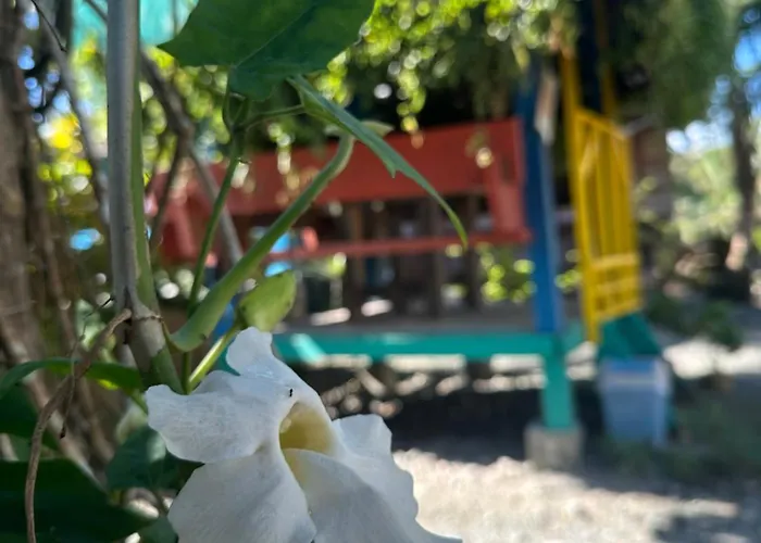 Lotus Sun & Waves Beach Resort