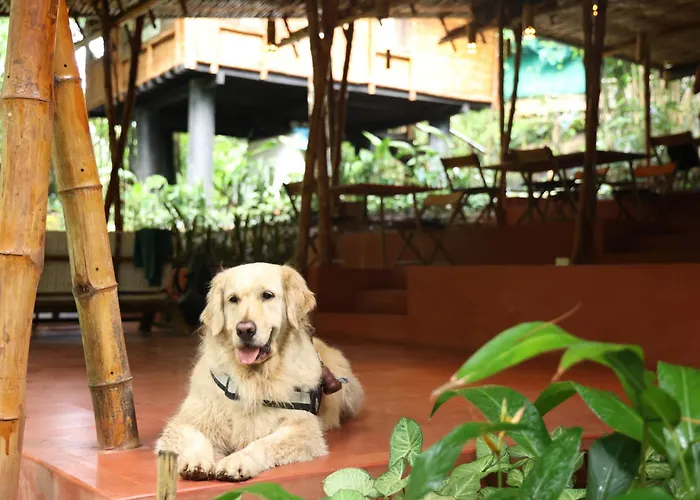 Uravu Bamboo Grove Resort