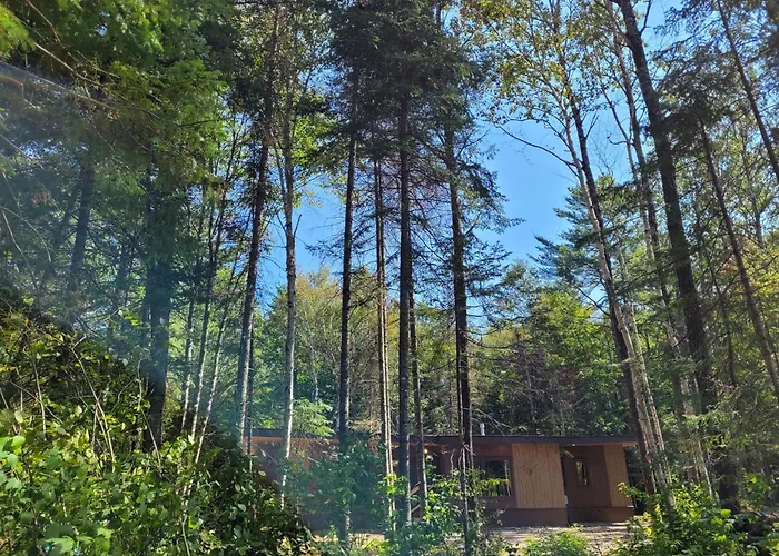 Nomi Resort