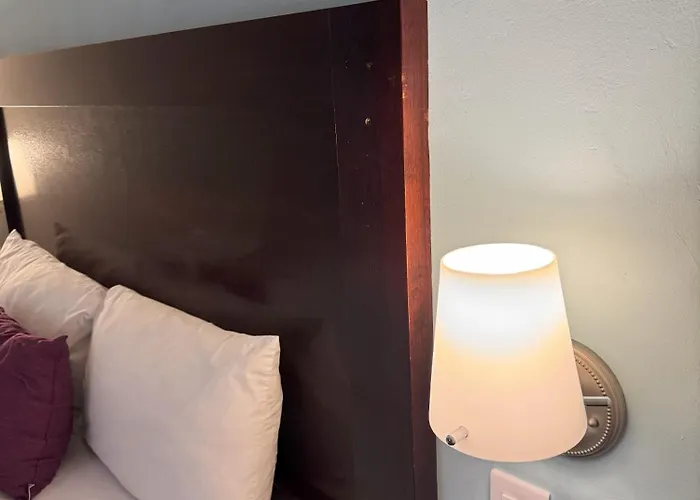 Hotel Arribo