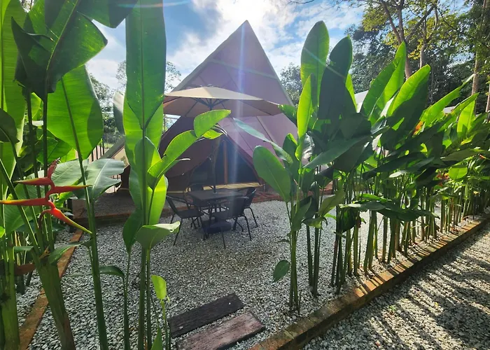 Skytree Glamping - Huda'S Haven