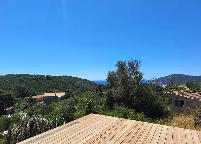 Les Bromelias Ile Du Levant