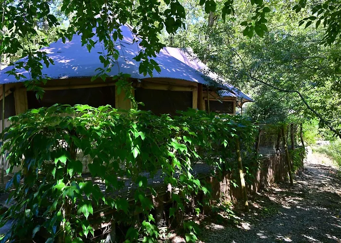 Prehistoric Lodge - Adult Only