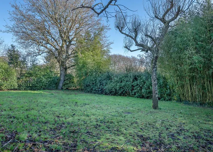 Maison Moderne Avec Jardin Pour 8 - La Baule