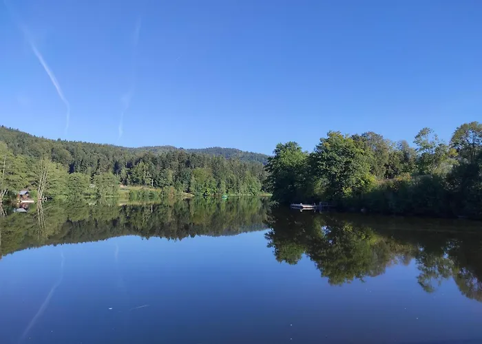 "Bayernwald 201" Ferienwohnung Mit Pool Und Sauna