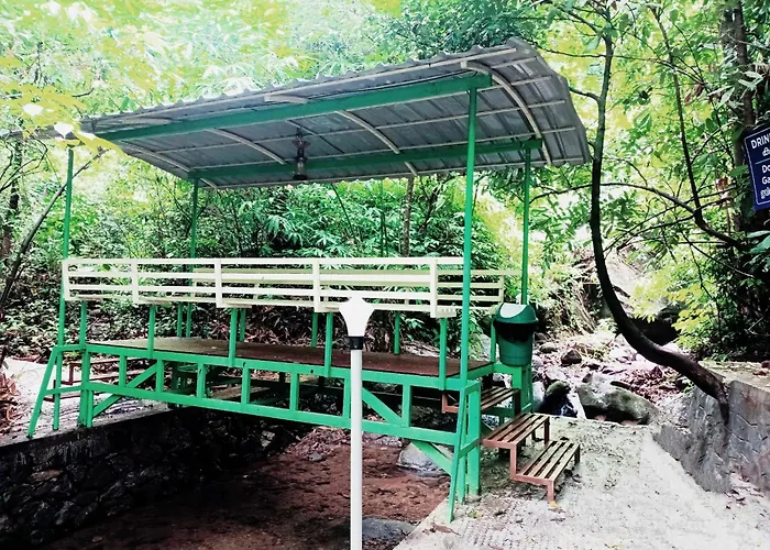 Forest And River Edge Resort