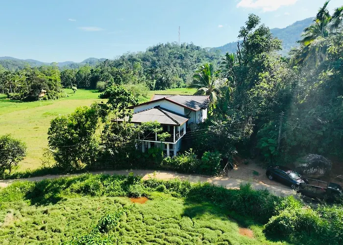Wildlife Kingdom - Deniyaya Sinharaja