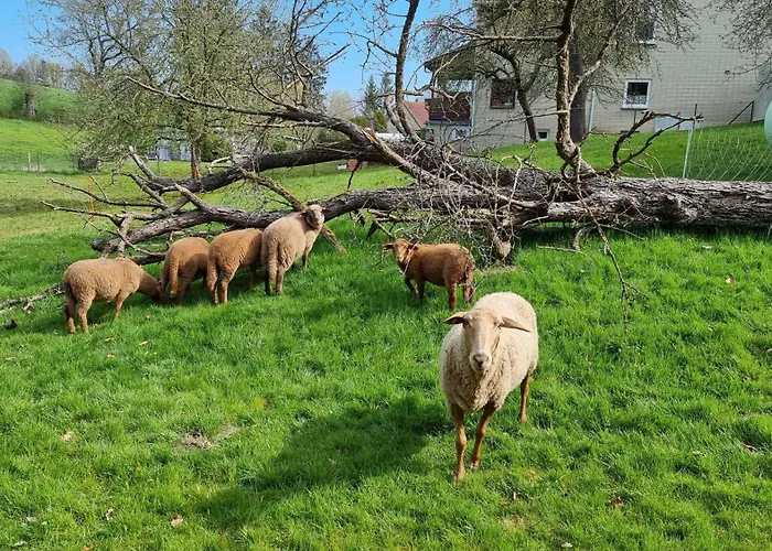 Ferienwohnung Streckhofidylle